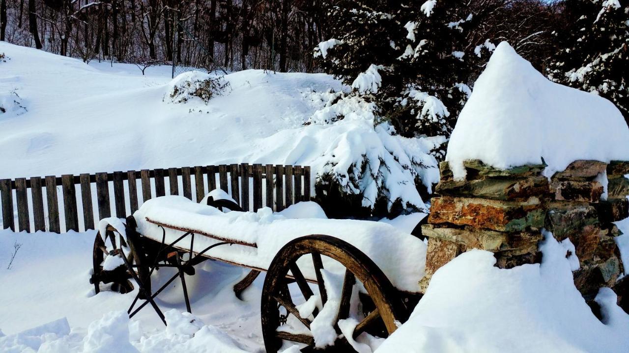 Pod Hradom Restaurant & Pension Topoľčany 외부 사진